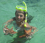 Plongée dans les Caraibes