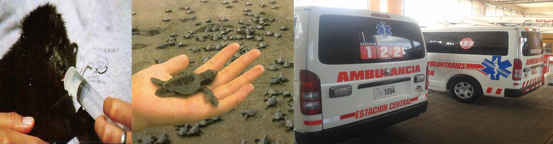 Séjour de langue au Guatemala